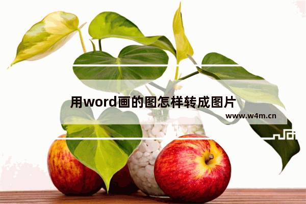 用word画的图怎样转成图片