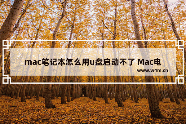 mac笔记本怎么用u盘启动不了 Mac电脑无法从U盘启动的解决方法