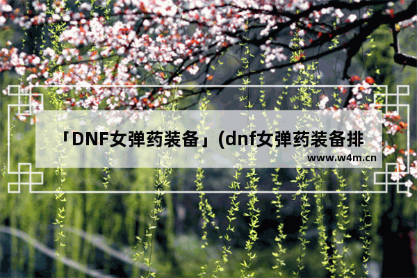 「DNF女弹药装备」(dnf女弹药装备排名)