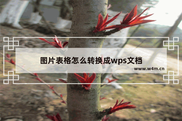 图片表格怎么转换成wps文档