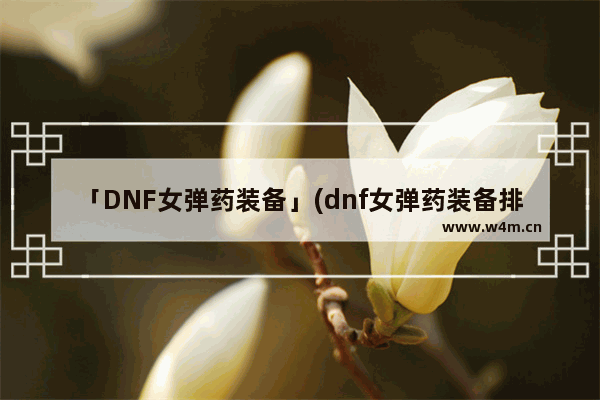 「DNF女弹药装备」(dnf女弹药装备排名)