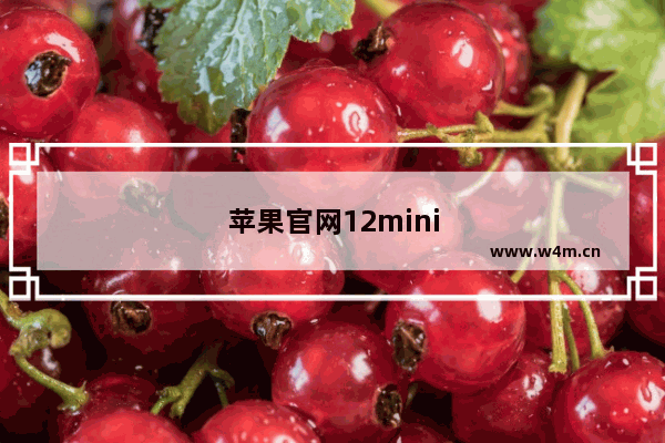 苹果官网12mini