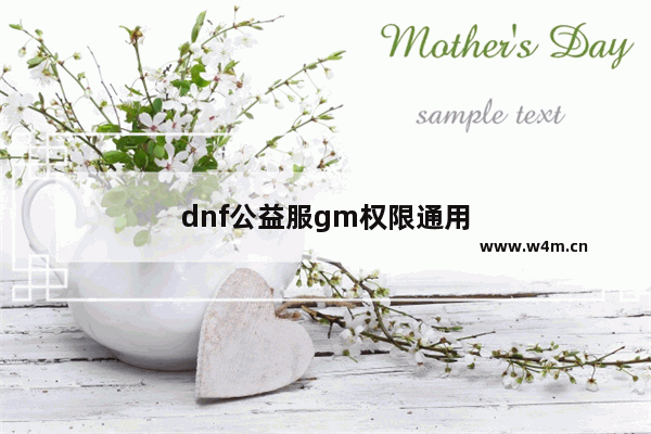 dnf公益服gm权限通用