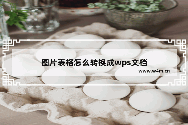 图片表格怎么转换成wps文档