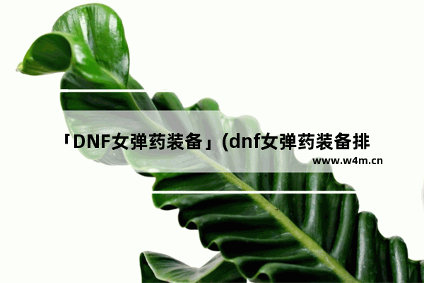 「DNF女弹药装备」(dnf女弹药装备排名)