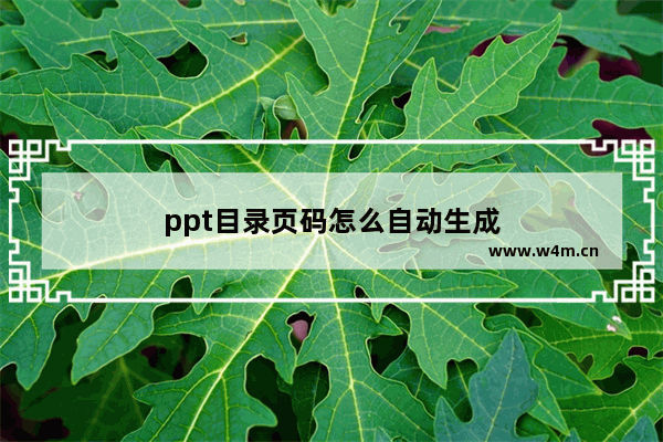 ppt目录页码怎么自动生成