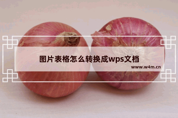 图片表格怎么转换成wps文档