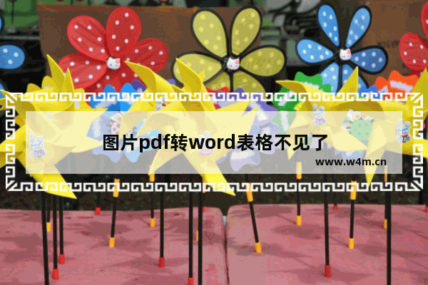 图片pdf转word表格不见了