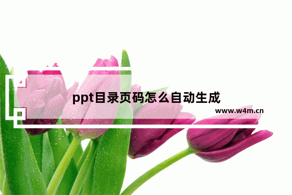 ppt目录页码怎么自动生成