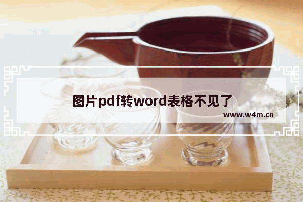 图片pdf转word表格不见了