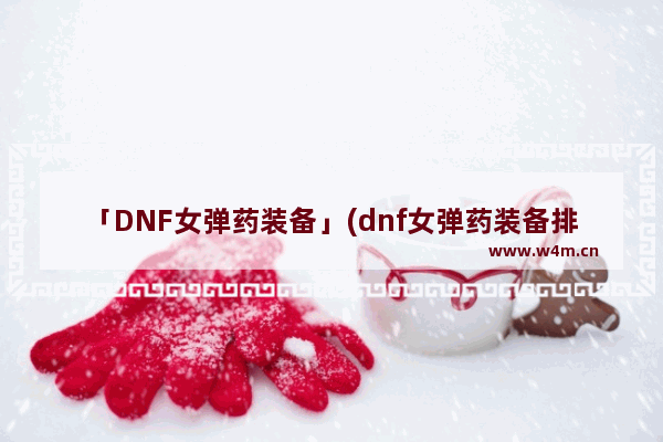 「DNF女弹药装备」(dnf女弹药装备排名)