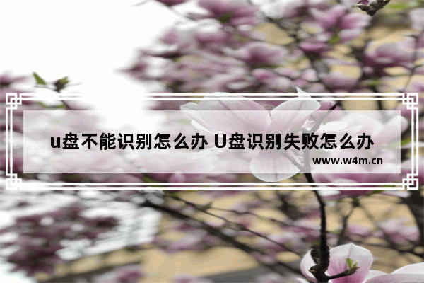 u盘不能识别怎么办 U盘识别失败怎么办