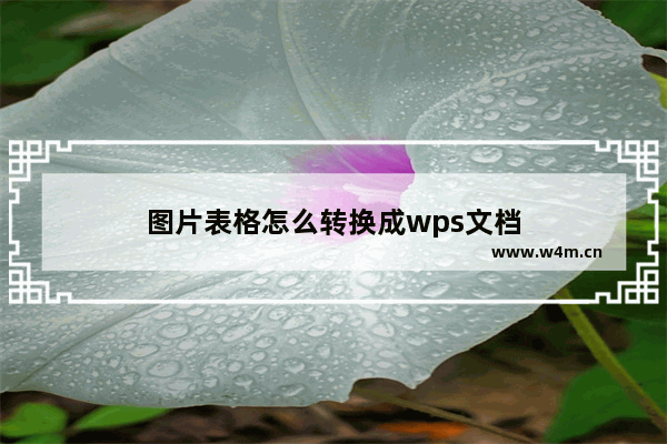 图片表格怎么转换成wps文档