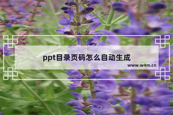 ppt目录页码怎么自动生成