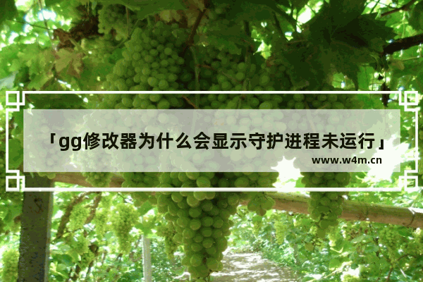 「gg修改器为什么会显示守护进程未运行」(gg修改器为什么会显示守护进程未运行华为)