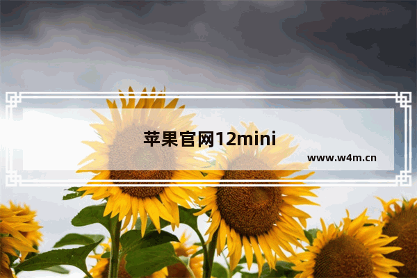 苹果官网12mini