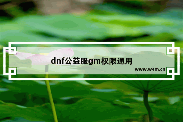 dnf公益服gm权限通用