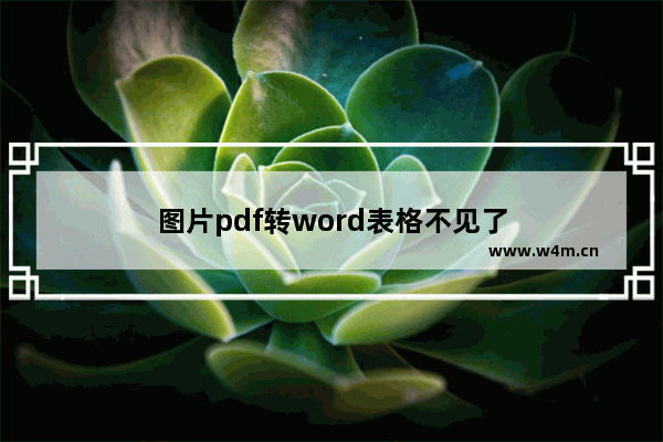 图片pdf转word表格不见了