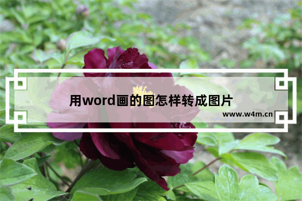 用word画的图怎样转成图片