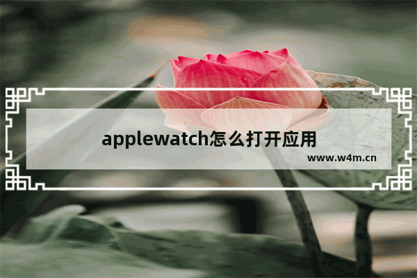 applewatch怎么打开应用