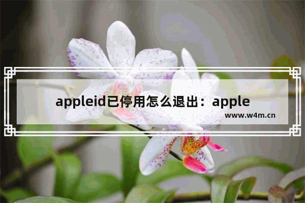 appleid已停用怎么退出：appleid已停用怎么退出登录