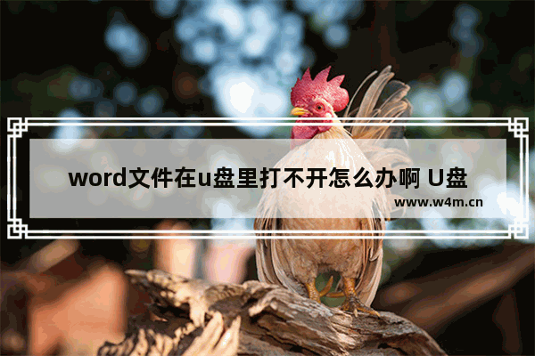 word文件在u盘里打不开怎么办啊 U盘中Word文档打不开怎么办