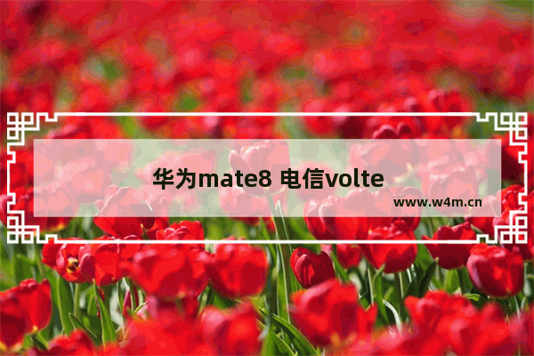 华为mate8 电信volte