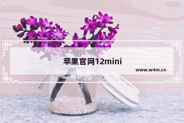 苹果官网12mini