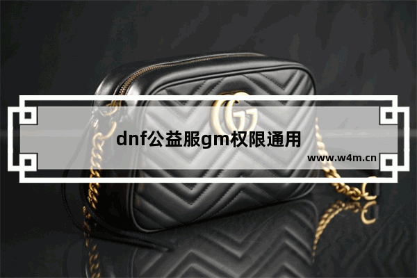 dnf公益服gm权限通用