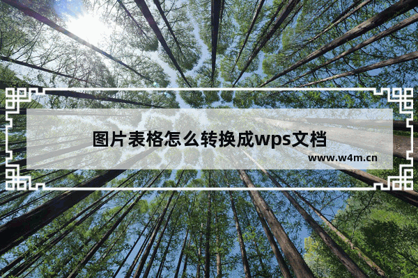 图片表格怎么转换成wps文档