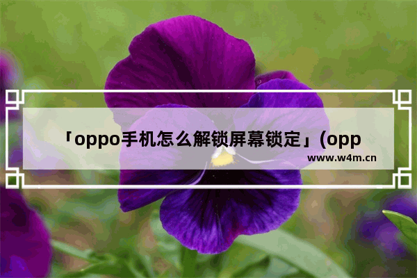 「oppo手机怎么解锁屏幕锁定」(oppo手机怎么解锁屏幕锁定和指纹解锁)