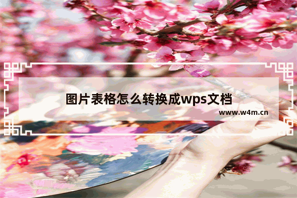 图片表格怎么转换成wps文档