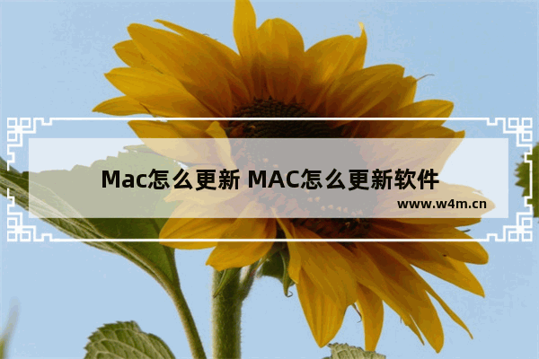 Mac怎么更新 MAC怎么更新软件