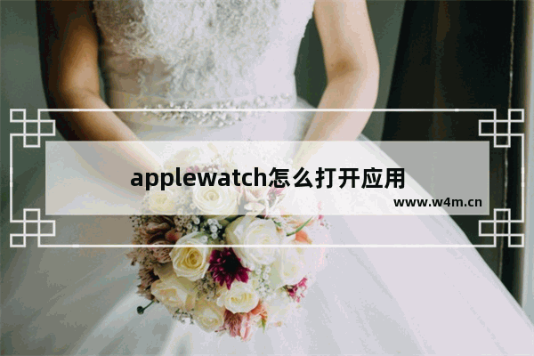 applewatch怎么打开应用