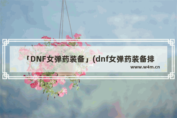 「DNF女弹药装备」(dnf女弹药装备排名)