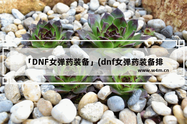 「DNF女弹药装备」(dnf女弹药装备排名)