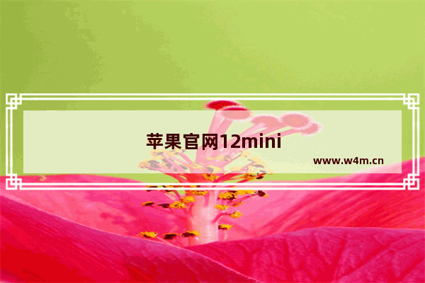 苹果官网12mini