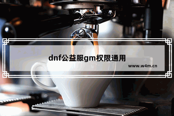 dnf公益服gm权限通用