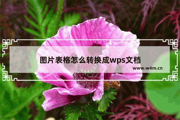 图片表格怎么转换成wps文档