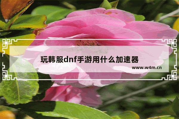 玩韩服dnf手游用什么加速器