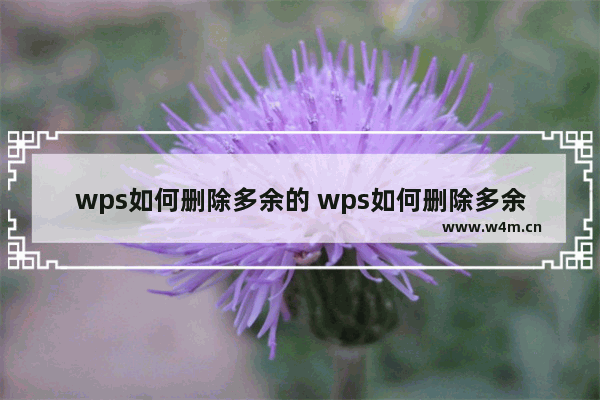 wps如何删除多余的 wps如何删除多余的最后一页