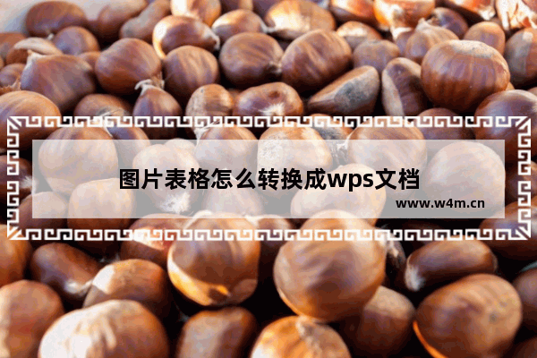 图片表格怎么转换成wps文档