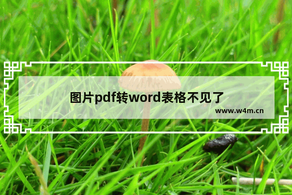 图片pdf转word表格不见了