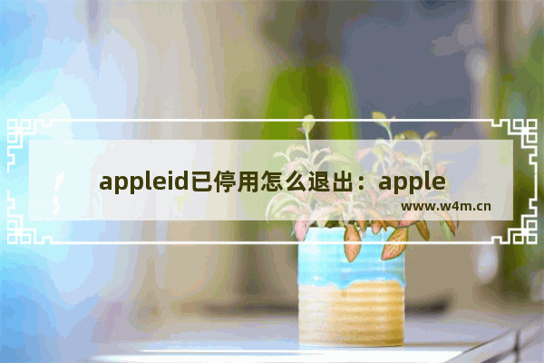 appleid已停用怎么退出：appleid已停用怎么退出登录