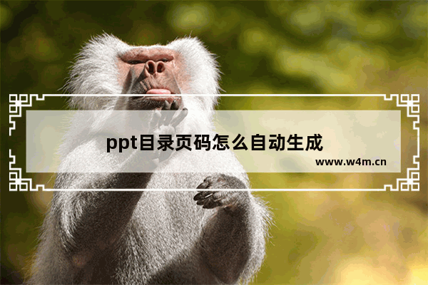 ppt目录页码怎么自动生成