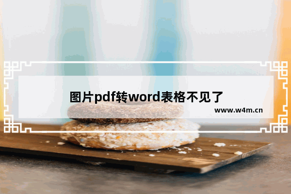 图片pdf转word表格不见了