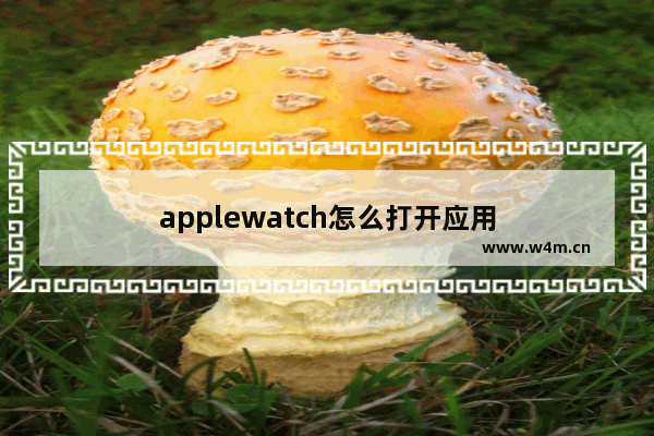 applewatch怎么打开应用