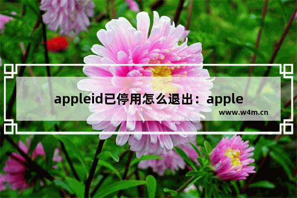 appleid已停用怎么退出：appleid已停用怎么退出登录