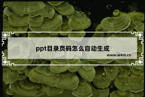 ppt目录页码怎么自动生成