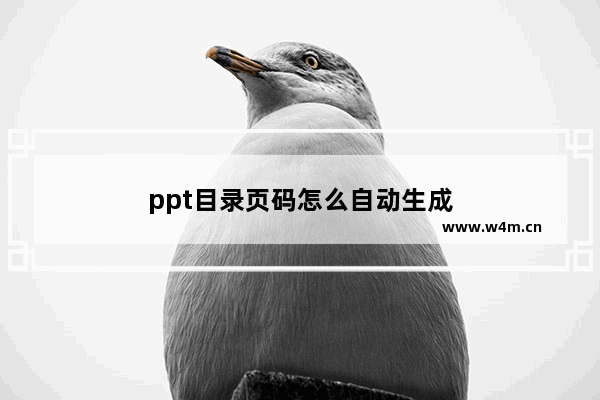 ppt目录页码怎么自动生成